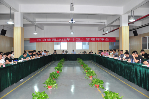爱游戏体育平台大厅-爱游戏（中国）集团召开2018年管理评审大会