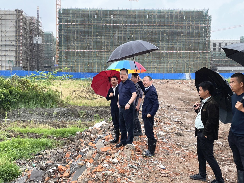 集团总裁柯建东莅临十四期项目视察指导工作
