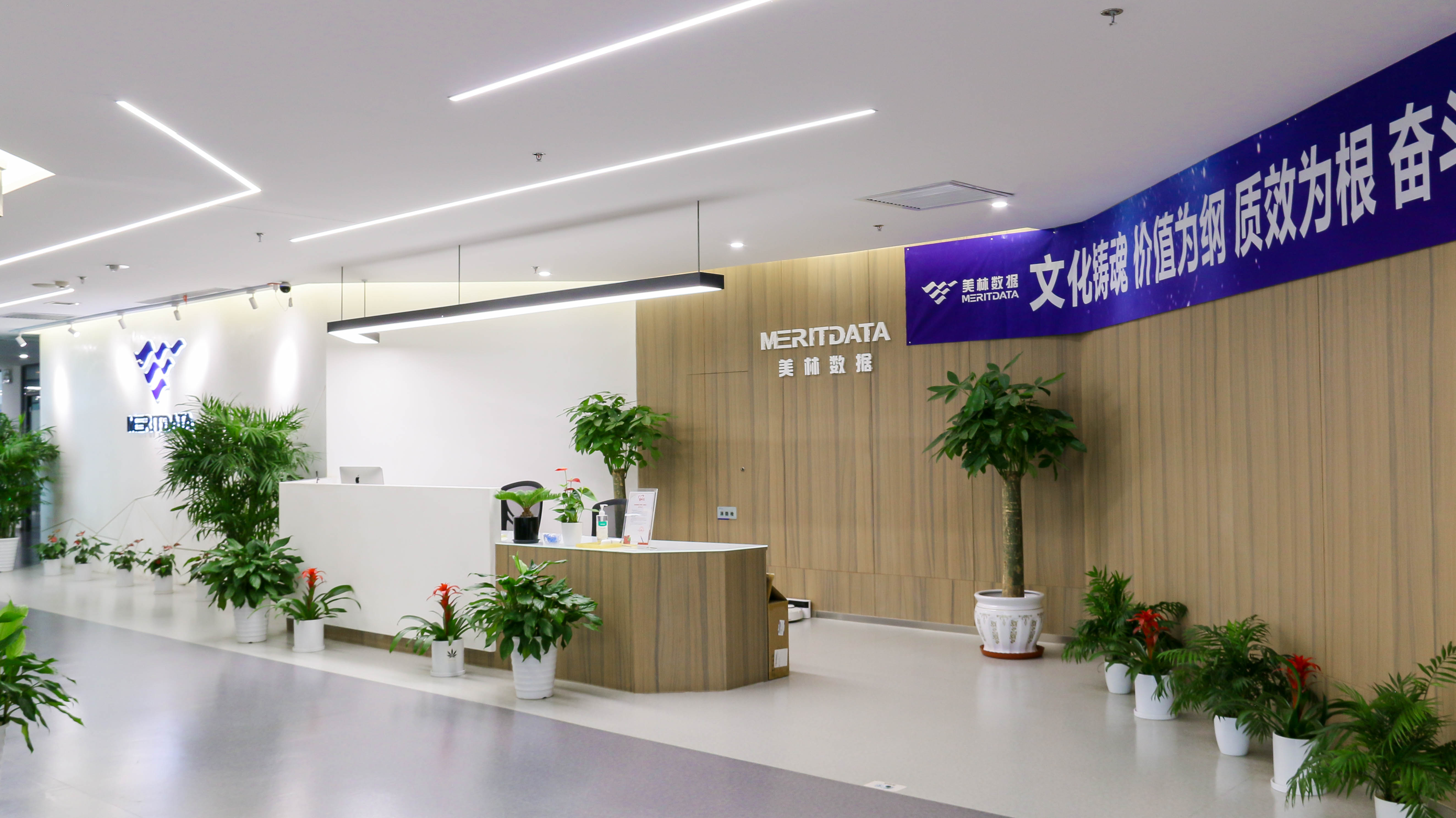 爱游戏体育平台大厅-爱游戏（中国）传感携手美林数据 推动行业数字化战略
