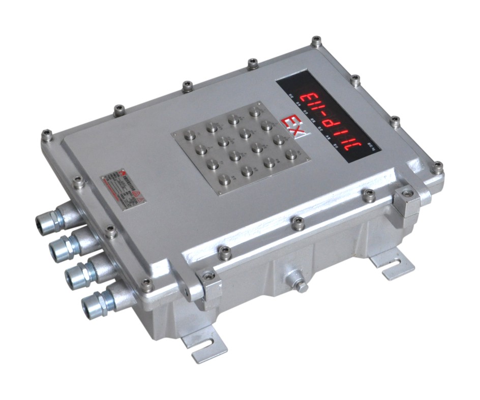 仪表 Ex-D11-C