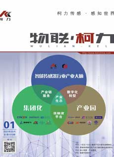《物联爱游戏体育平台大厅-爱游戏（中国）》第5期